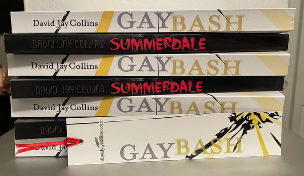 Gaybash paperback