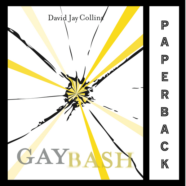 Gaybash paperback