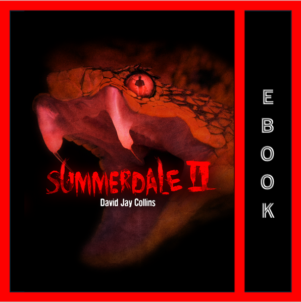 Summerdale II ebook