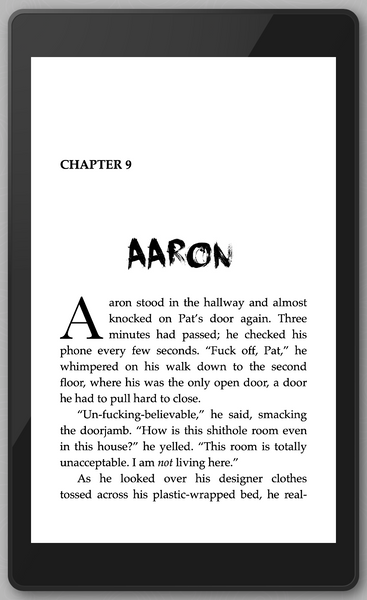 Summerdale III ebook