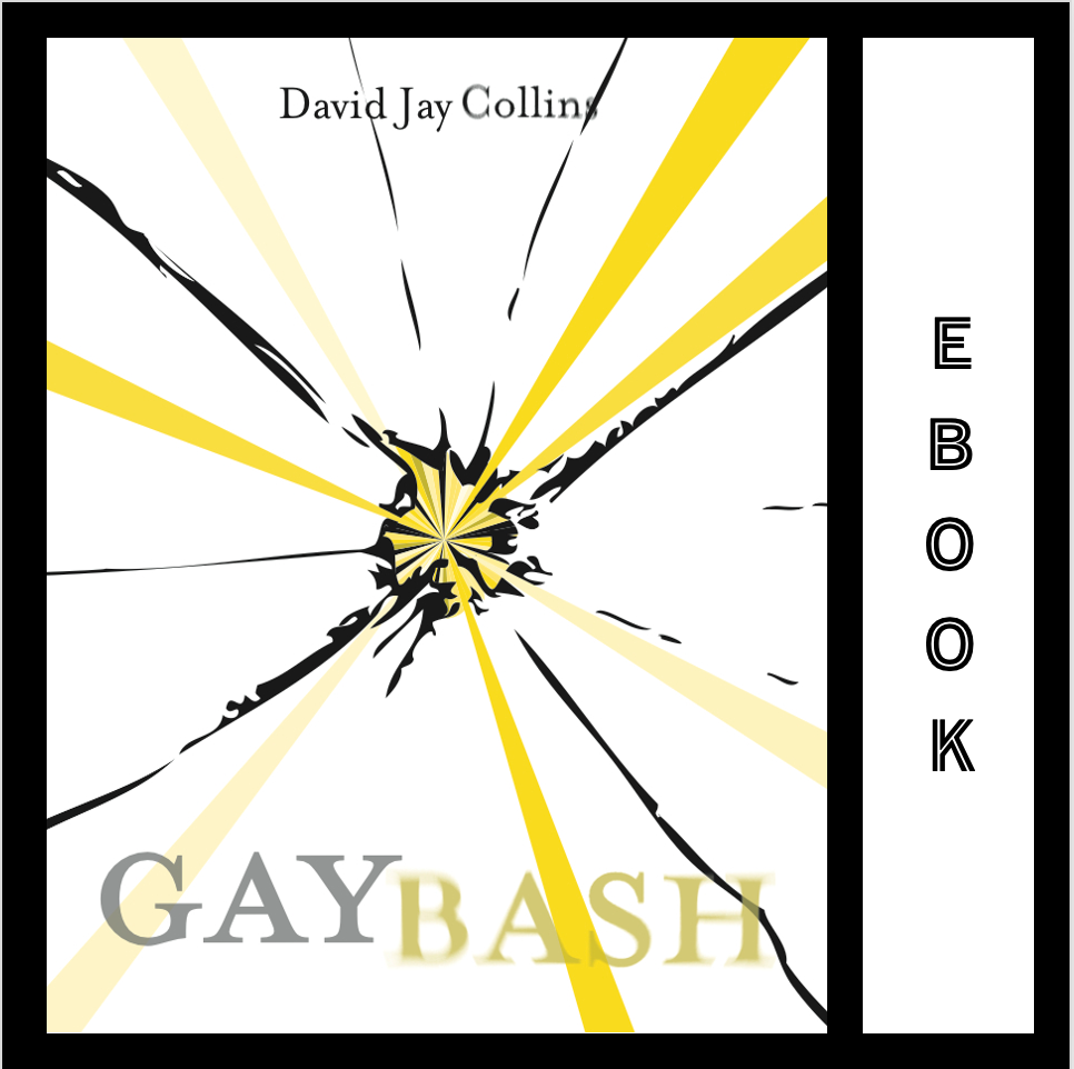 Gaybash ebook
