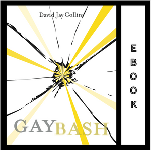 Gaybash ebook