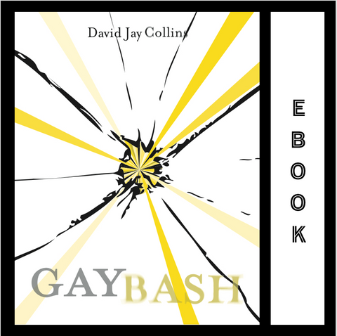 Gaybash ebook