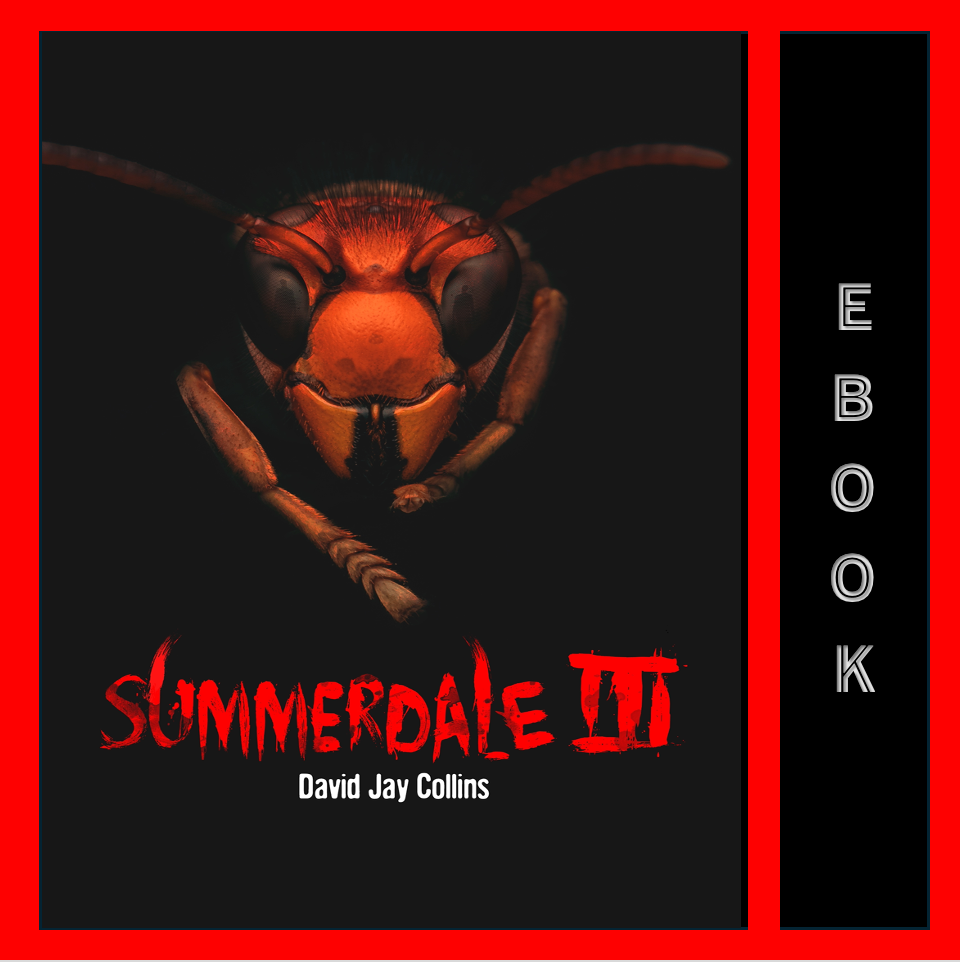 Summerdale III ebook