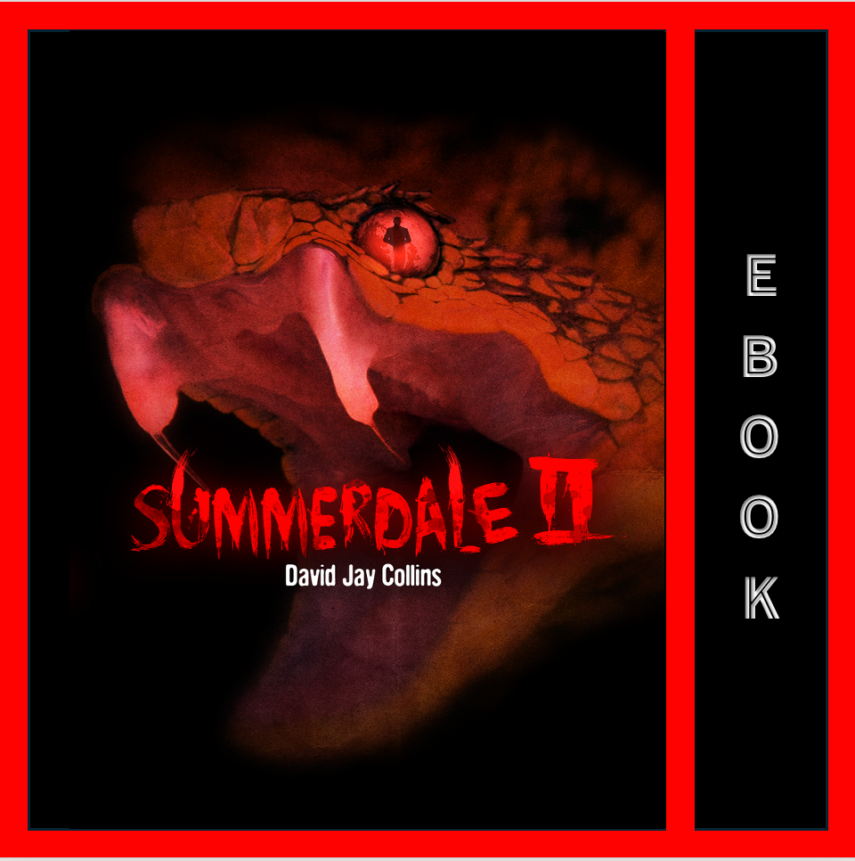 Summerdale II ebook