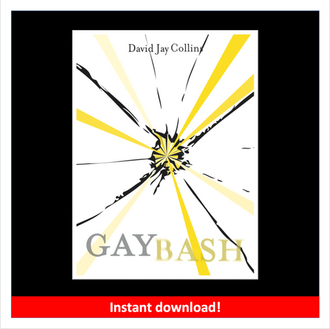 Gaybash ebook